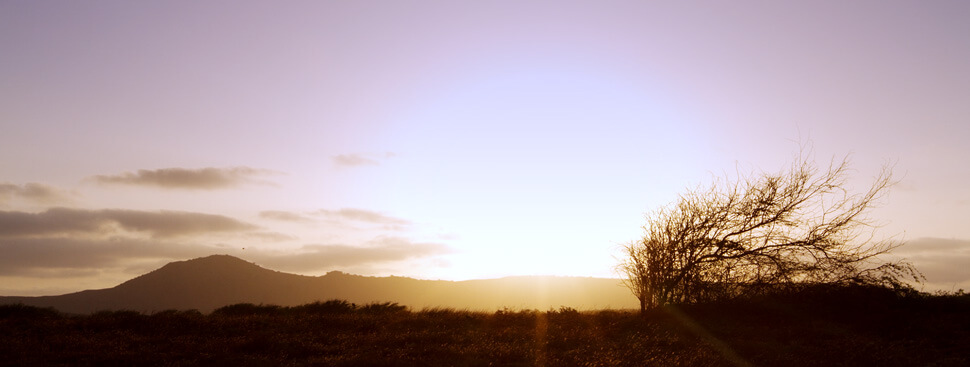 Landschaft mit Sonnenuntergang